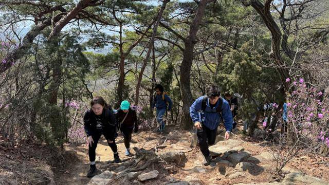 5일 본보 문지수 기자(왼쪽)와 외국인 등산객들이 수락산 경사길을 올라가고 있다. 서울관광재단 제공