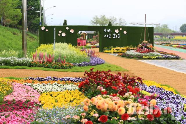 ▲지난해 개최된 화순 봄꽃 축제장에 조성된 상상정원ⓒ화순군 제공