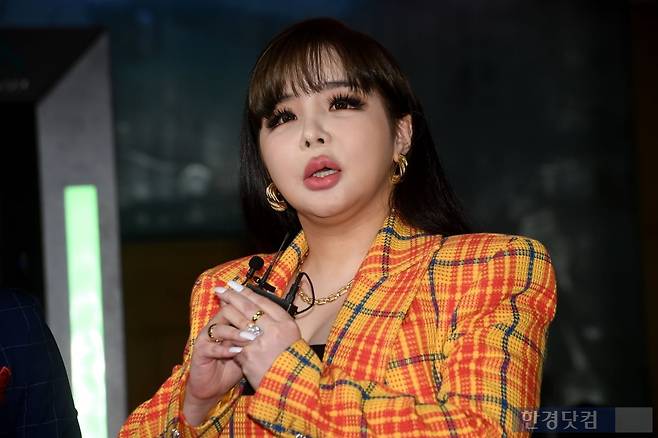 박봄 /사진=한경DB