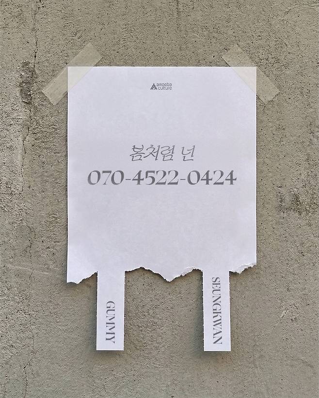 아메바컬쳐