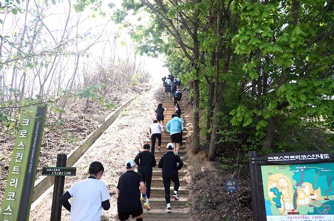 팀코리아 트레일러닝 장면. 대한체육회 제공