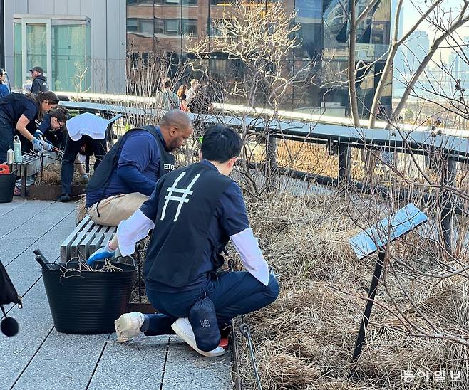 버려진 고가 철도를 ‘공중’의 공원으로 만든 미국 뉴욕 맨해튼의 ‘하이라인’에서 꽃과 나무를 심고 있는 자원봉사자들. 많은 뉴욕 시민들이 더 좋은 공원을 만들기 위해 다양한 자원봉사에 나선다.
뉴욕=임우선 특파원 imsun@donga.com