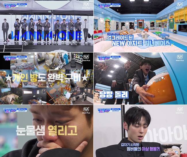 CJ ENM 제공