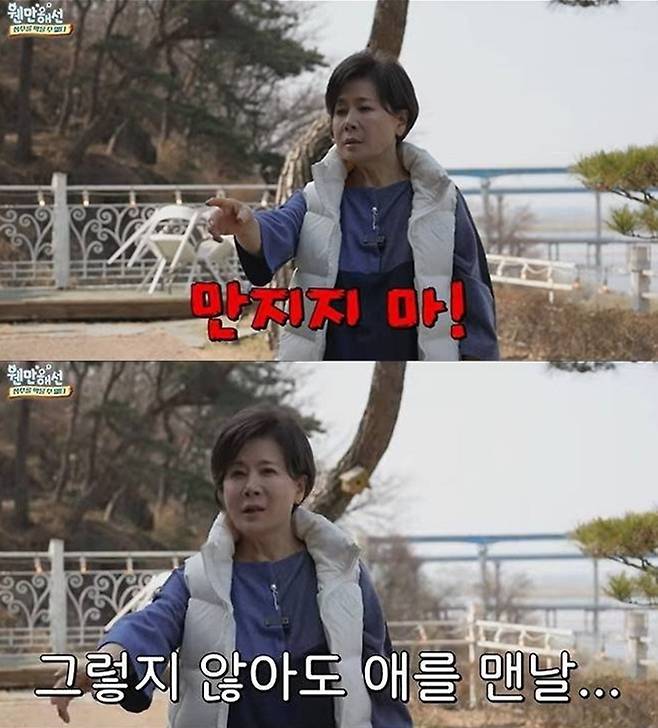 박정수 유튜브