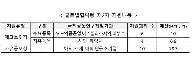 글로벌협력형 제2차 지원 내용. (기정원 제공)