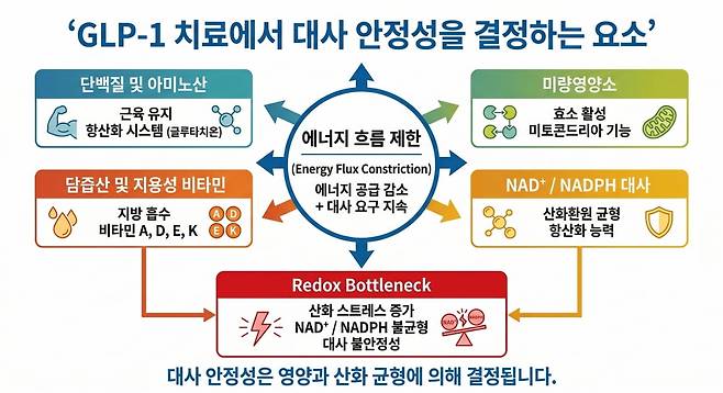 GLP-1 치료 시 대사 안정성을 결정하는 핵심 요소