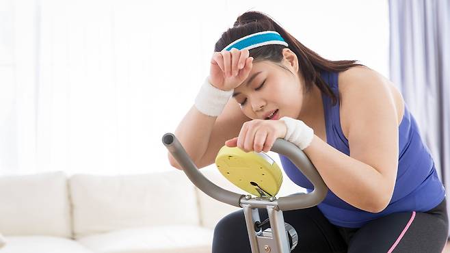 체중 감량 후에도 면역세포에 남은 '비만 기억'이 요요 현상을 유발한다는 연구 결과가 나왔다|출처: 클립아트코리아