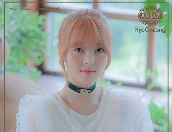 아리아즈 출신 효경
