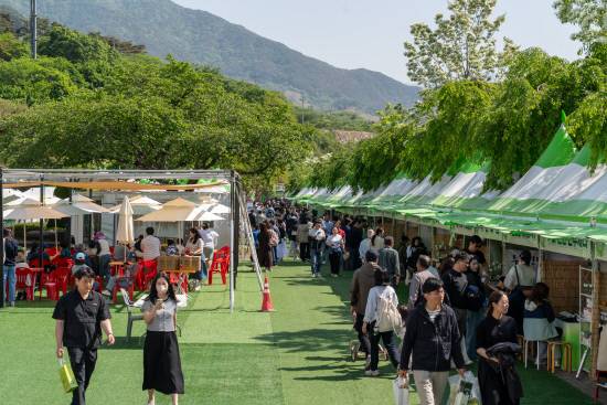 지난 1일부터 5일까지 열린 하동야생차문화축제가 5만 여명이 넘는 방문객 수치를 기록하며 성황리에 폐막했다. 사진=하동군