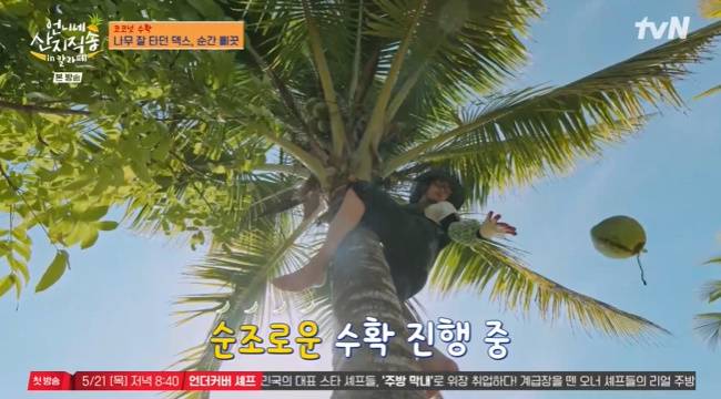 사진= tvN ‘언니네 산지직송 in 칼라페’ 캡처