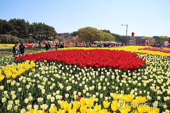 꽃 보며 치유를 (태안=연합뉴스) 김준범 기자 = 25일 충남 태안 안면도 꽃지해안공원에서 개막한 '2026 태안국제원예치유박람회'를 찾은 관광객들이 행사장을 둘러보고 있다. 2026.4.25 psykims@yna.co.kr
