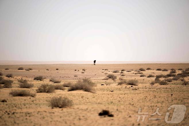 이라크의 사막 <자료사진> ⓒ AFP=뉴스1