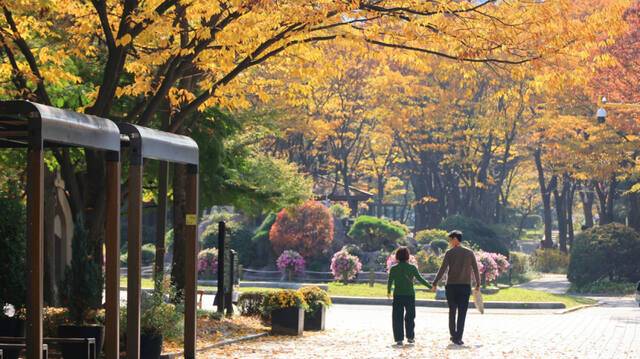 과천시 도심에 자리잡고 있는 중앙공원 산책길. 과천시 제공