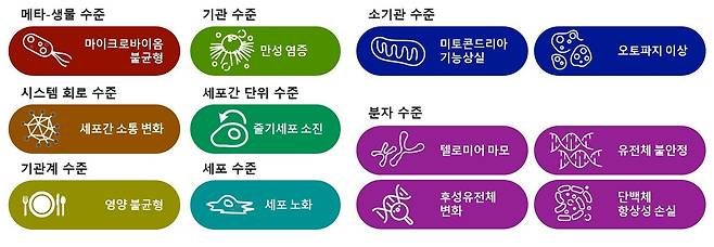 노화의 특징. (출처: Kroemer G, López-Otín C, Madeo F, de Cabo R. Cell Metab. 2023;35(12):1931-1933)