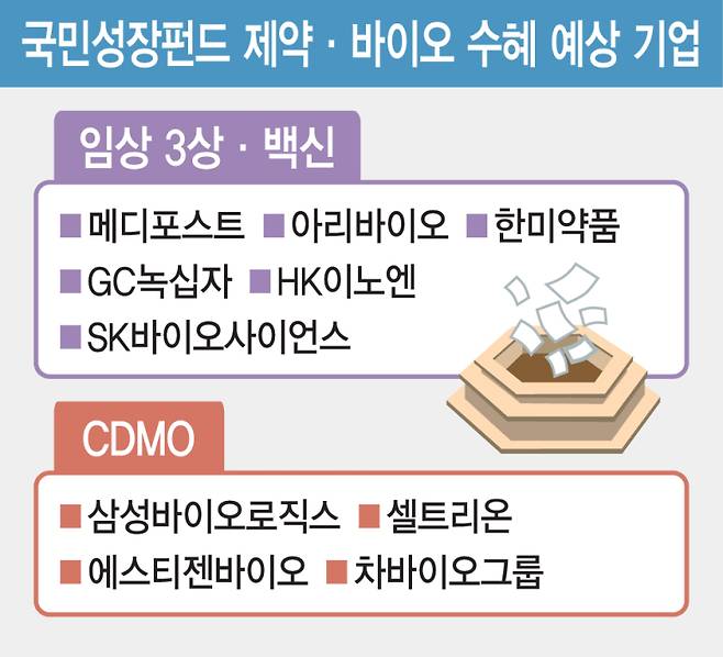 국민성장펀드 제약·바이오 수혜 예상 기업(그래픽= 김일환 기자)