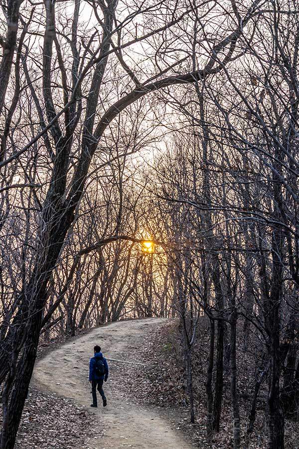 해질녘 독산자락길. 독산禿山이라는 이름 때문인지 식목이 빈약해 보인다.