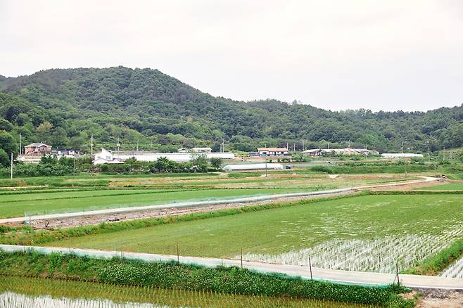 게티이미지뱅크