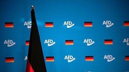AfD / 사진=EPA 연합뉴스