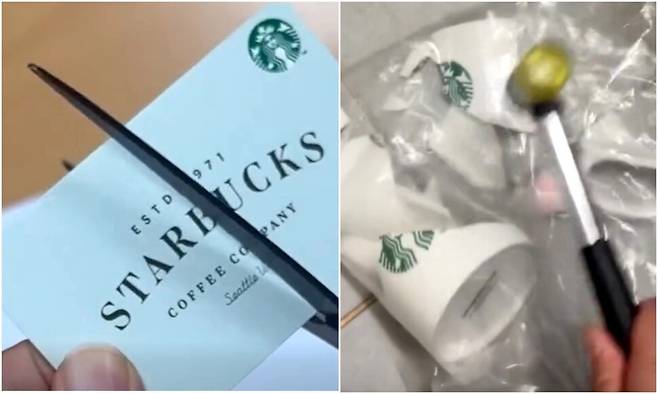 손솔 진보당 의원 페이스북, 스레드 갈무리