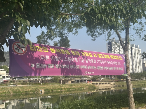 연합뉴스