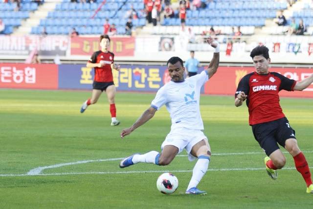 대구FC 세라핌. 대구FC 제공