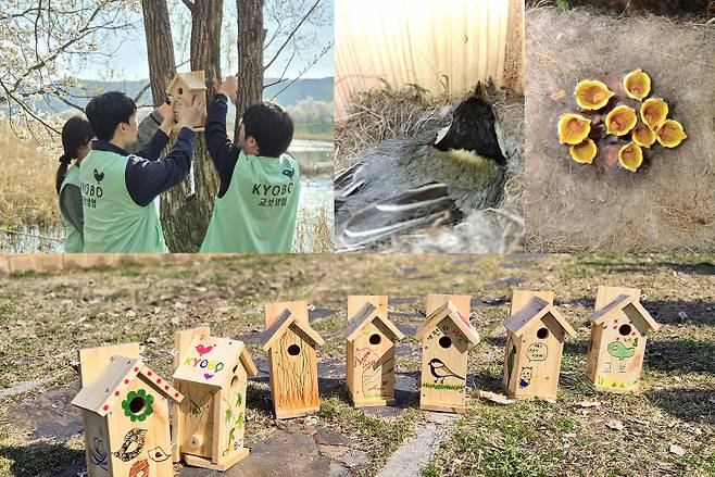지난달 8일 경기도 광주시 경안천 습지생태공원에서 교보생명 임직원들이 야생조류를 위한 인공 새집을 나무에 정성스럽게 설치하고 있다.(사진=교보생명)