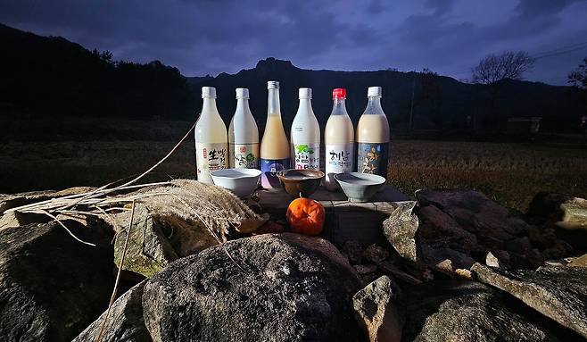남도의 세 고장 전남 강진과 해남과 영암에는 오랜 전통의 막걸리 도가가 여럿 있다. 맑은 물에 손수 빚은 누룩에 제 고장의 쌀로 저마다 개성 있는 막걸리를 빚는다. 손민호 기자