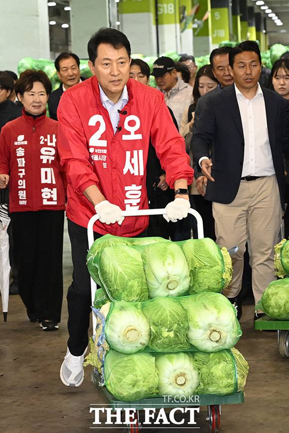 오세훈 국민의힘 서울시장 후보가 21일 오전 서울 송파구 가락농수산물종합도매시장을 방문해 배추 운반 작업을 돕고 있다. /송호영 기자