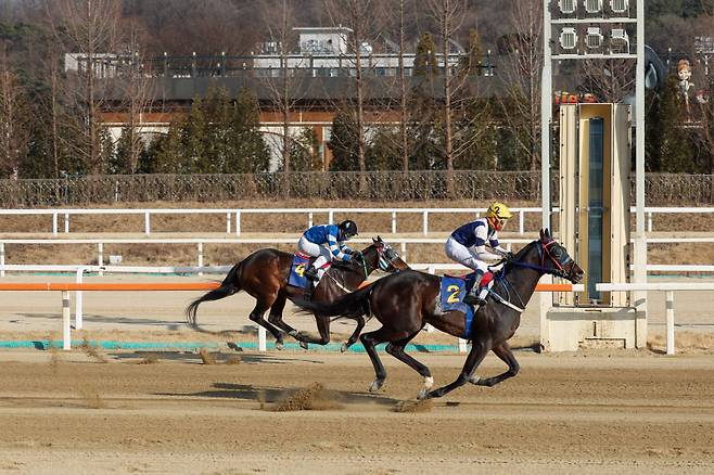 스피드영. 사진=한국마사회