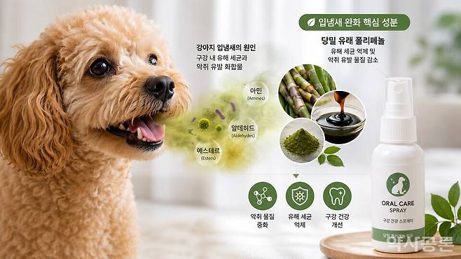 기사 이해를 돕기 위한 이미지. 챗지피티 생성.