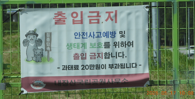 (사진 제보자 A씨 제공)/뉴스펭귄