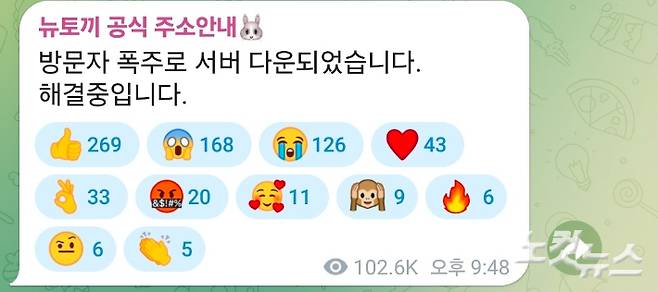 '뉴토끼' 주소 공유 텔레그램. 김정록 기자