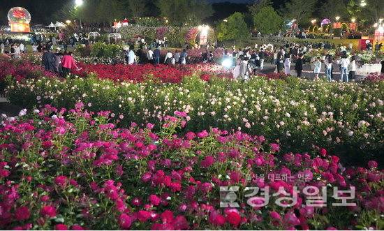▲ 제18회 울산대공원 장미축제가 25일 막을 내렸다. 지난 23일 밤 울산대공원 장미원을 찾은 시민 및 관광객들이 야간조명을 받은 300만 송이의 장미꽃을 감상하고 있다. 김도현기자
