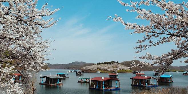 지난 공모전 수상 영상 캡처.(사진=진천군 제공)