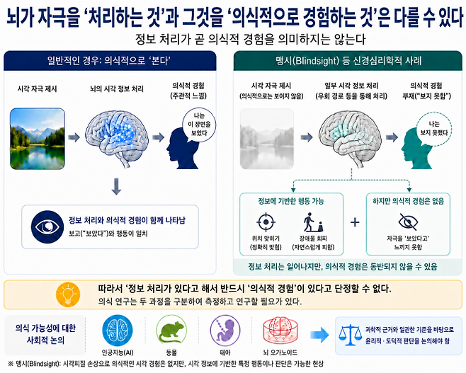 연구팀은 어떤 존재의 의식의 유뮤를 판단하기 전에 정보 처리 과정과 주관적으로 경험하는 능력을 명확히 구분해야 한다고 봤다. IBS 제공