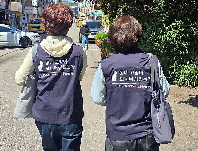 지난 22일 만난 한국노인인력개발원 '동네 고양이 모니터링 활동가' 사업에 참여한 김혜영(왼쪽)씨와 김광선씨. 이 사업은 지난 3월 처음 시작됐다. 현재 60~65세가 활동 중이며, 참여 만족도가 높다고 한다. 인천=채혜선 기자