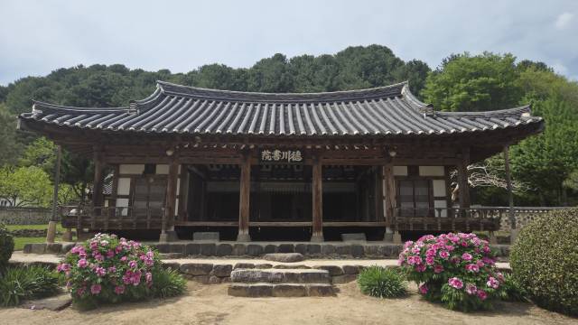 모란이 절정인 덕천서원.