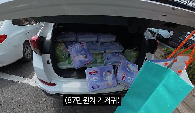 87만 원어치 기저귀와 물티슈. 김선태 유튜브