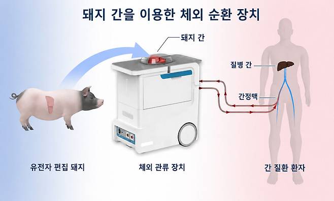 출처=클로노건(Clonorgan)