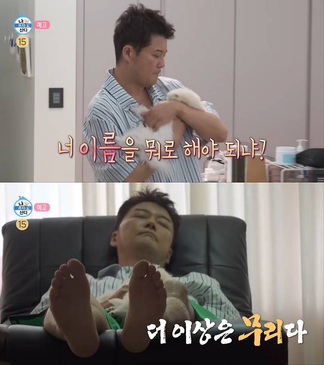 방송인 전현무, 새 반려견 입영