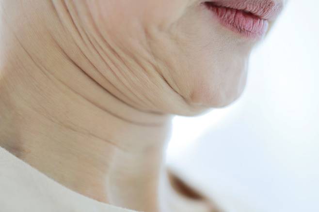 사진=클립아트코리아