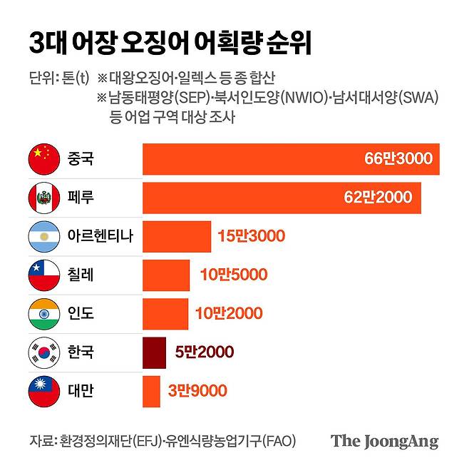 김영희 디자이너