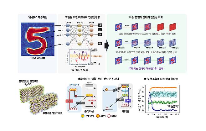 빛의 색으로 '외우기'와 '잊기'를 조절하는 뇌 모방 광시냅스. 연구재단 제공