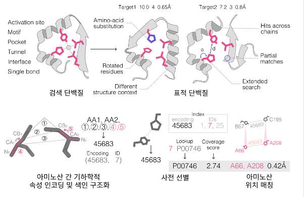 단백질 구조를 탐색해 주는 '폴드디스코' 작동 기전. 서울대 제공.