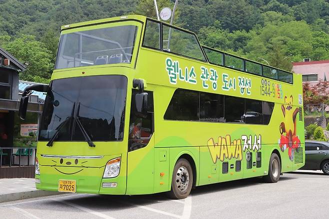 정선아리랑열차가 운행하는 날에는 시티투어버스도 이용할 수 있다. 오일장 외에도 화암동굴, 아우라지 등 정선의 명소를 들른다.