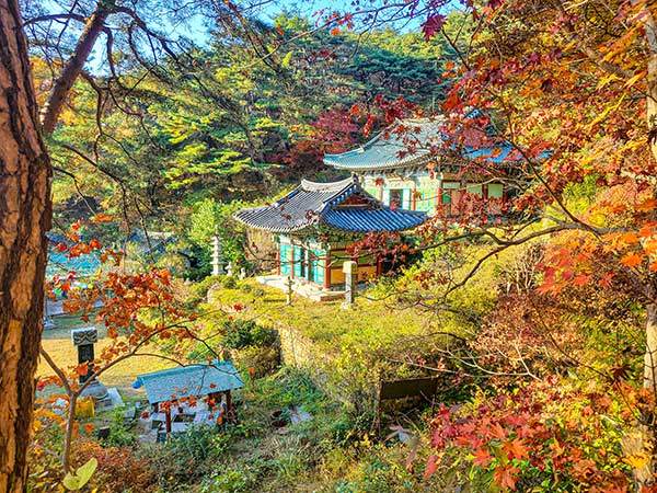 팔봉능선과 관양능선이 만나는 지점 아래서 내려다본 불성사.