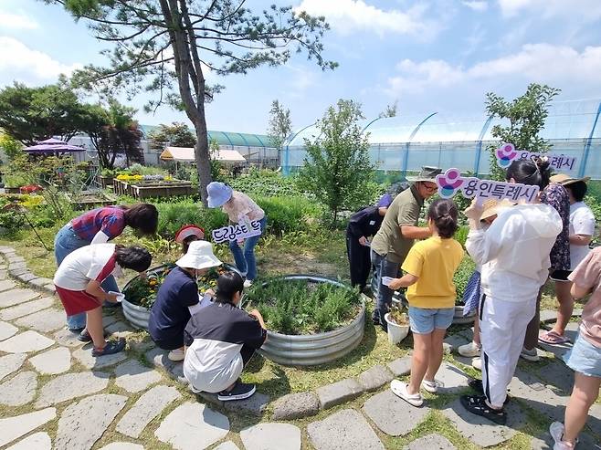 용인특례시가 진행한 드림팜 마음자람 농장체험 사진=용인시