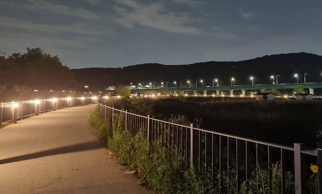 용인특례시가 기흥호수공원 산책로에 '스마트 LED 경관조명' 설치 사업을 마무리했다. 사진=용인시