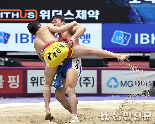 충북 보은단오장사씨름대회에서 남자 소백급 선수들이 겨루고 있다. 사진=김도웅 프리랜서 기자