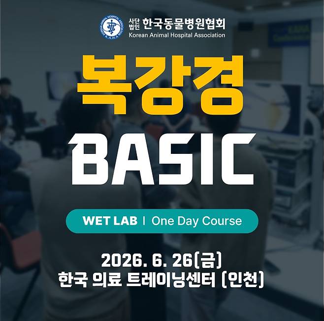한국동물병원협회는 오는 26일 송도에서 복강경 웻랩 베이직 원데이 코스를 진행한다고 밝혔다(협회 제공). ⓒ 뉴스1
